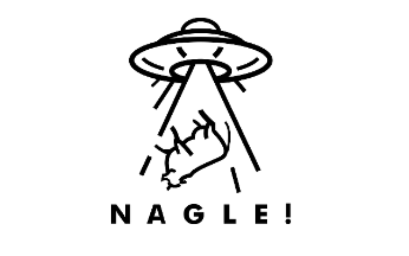 NAGLE! i współpraca z Jagą Moder