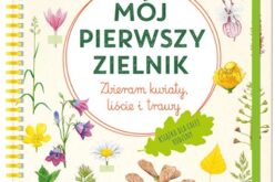 Mój pierwszy zielnik. Zbieram kwiaty, liście i trawy