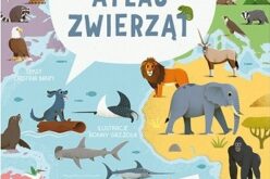 Mój pierwszy atlas zwierząt + 20 filmików o zwierzętach