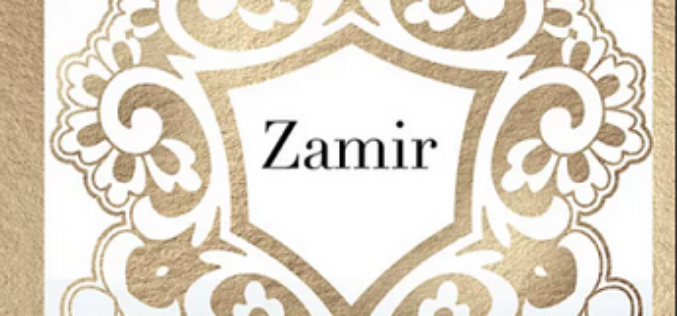 Hakan Günday, Zamir