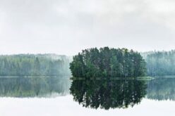 Stora Enso wśród sygnatariuszy Deklaracji Klimatycznej
