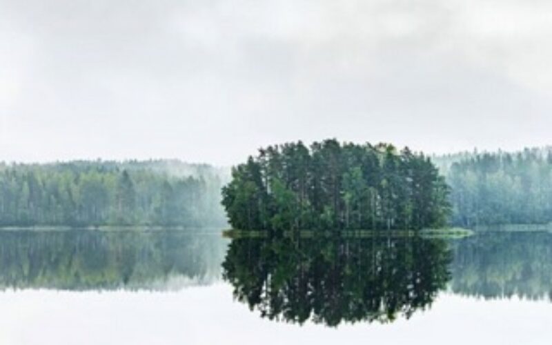 Stora Enso wśród sygnatariuszy Deklaracji Klimatycznej