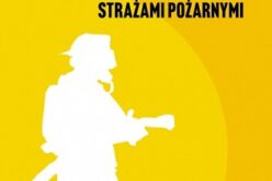 Sylwia Wrona, Wartości w zarządzaniu Ochotniczymi Strażami Pożarnymi,