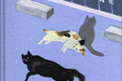 Nanae Aoyama, Idealny czas na smuteczek