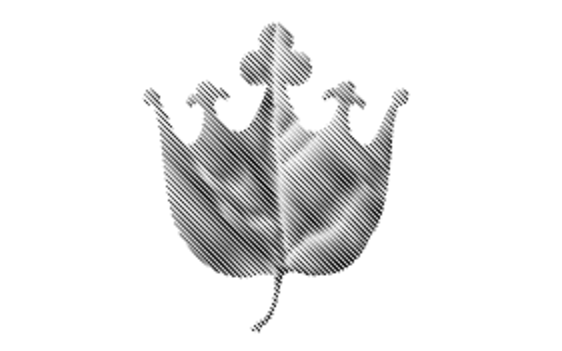 Lubisz czytać i rozmawiać o literaturze? Weź udział w Dyskusyjnym Klubie Książki