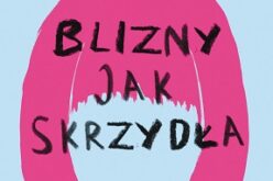 Erin Stewart, Blizny jak skrzydła