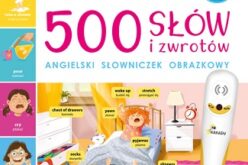 500 słów i zwrotów. Angielski słowniczek obrazkowy cz. 2 od KAKADU