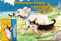 Lucek – nowa książka dla dzieci w Wydawnictwie BIS