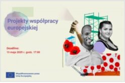 Projekty współpracy europejskiej 2025. Nabór wniosków