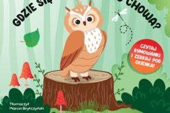 Gdzie się sowa do snu chowa? Książka z okienkami