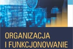 Organizacja i funkcjonowanie systemów bezpieczeństwa