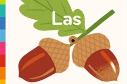 Las. Akademia Mądrego Dziecka. Moja książeczka z okienkami