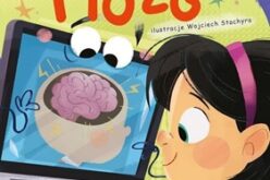 Wojciech Grajkowski, Mózg