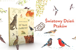 Światowy Dzień Ptaków: Posłuchaj, co mówią — naprawdę!
