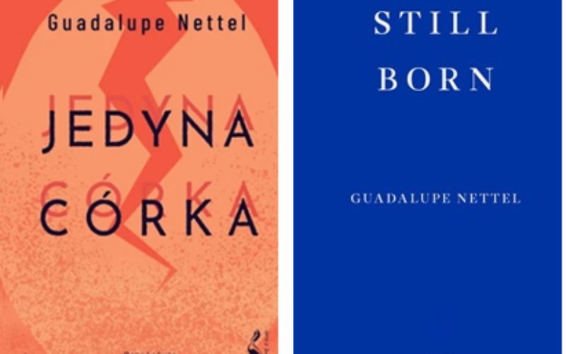 Nagroda Literacka Jana Michalskiego za 2025 przyznana