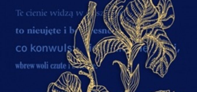 Twórczość poetycka Kazimierza Przerwy-Tetmajera