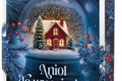 Magdalena Kordel, Anioł do wynajęcia