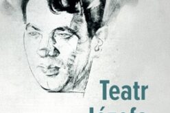 Krzysztof Pleśniarowicz, Teatr Józefa Czechowicza