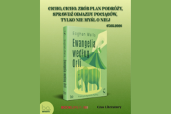 Nowy głos z Irlandii. Eoghan Walls idzie śladami Sally Rooney i Anny Burns