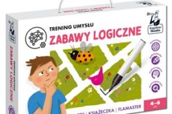 Zabawy logiczne – ponad 100 łamigłówek dla przedszkolaków