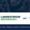 Rusza Laboratorium Odporności – Bezpieczne słowa, miejsca, wspólnoty